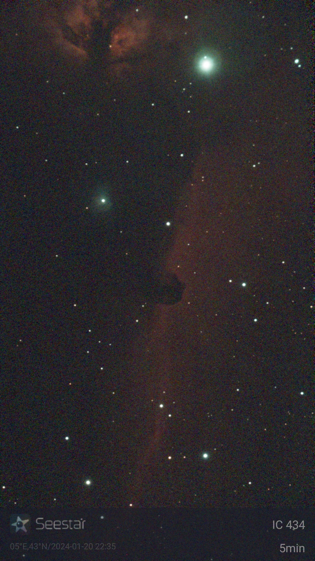 Nebuleuse - Tete de cheval - Barnard 33.jpg